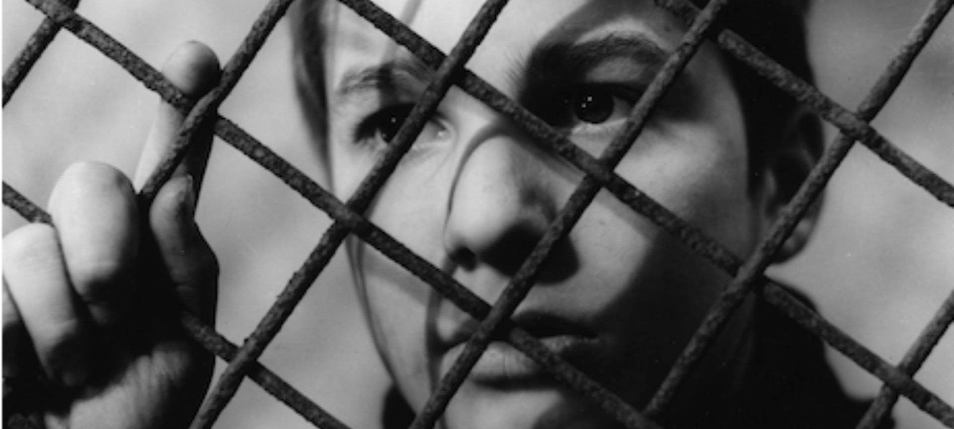 The $00 blows. Protagonists got in Screenplay Structure